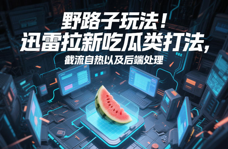 野路子玩法！迅雷拉新吃瓜类打法，截流自热以及后端处理-heixma