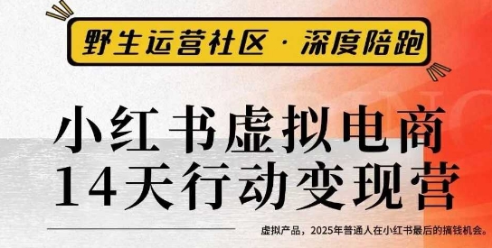 小红书虚拟电商14天变现训练营3.0，​虚拟产品，2025年普通人在小红书最后的搞钱机会-heixma