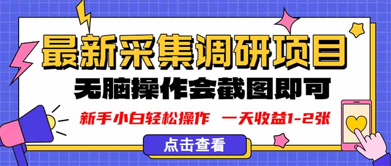 新版采集调研项目，截图上传即可，无脑操作，日收益1-2张-heixma