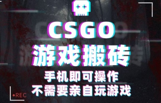 CSGO游戏挂G捡漏，单日扫货5张+，年底小高峰上车可吃肉，手机即可操作，兼职副业创业网创【揭秘】-heixma