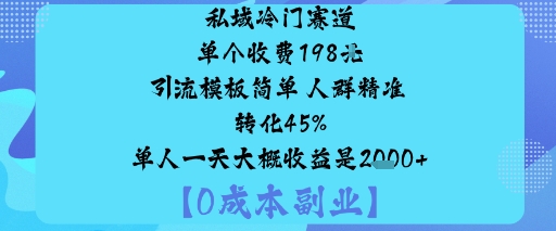 私域冷门赛道:单个收费198米引流模板简单人群精准转化45%单人一天大概收益是1k+-heixma