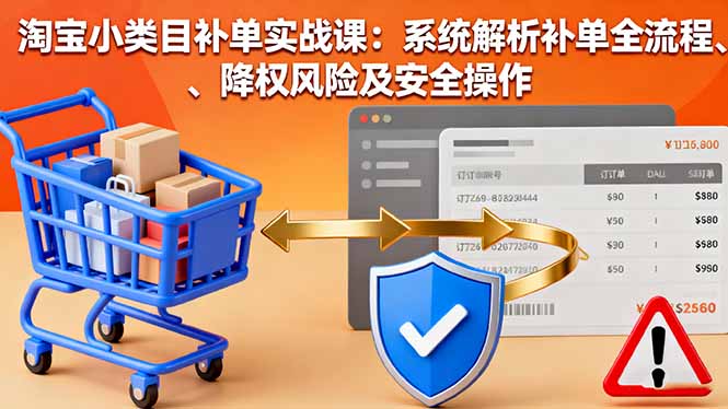 淘宝小类目补单实战课：系统解析补单全流程、降权风险及安全操作-heixma