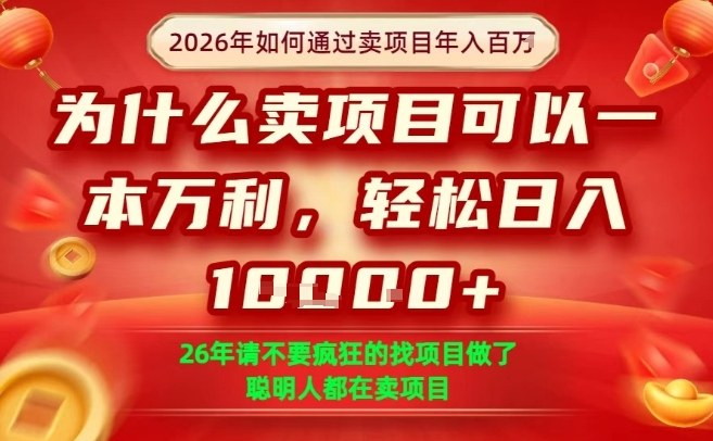 一单净利润1K+，26年想年入100个W，死磕卖项目就够了【揭秘】-heixma