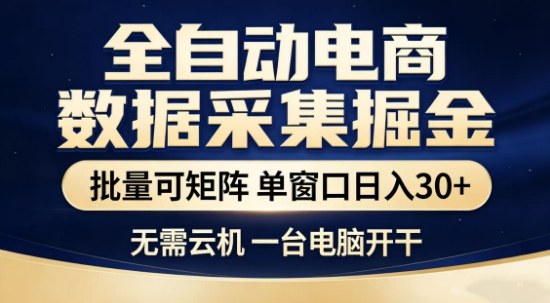 独家电商数据全自动采集项目，批量可矩阵，单窗口轻松日入3张+【揭秘】-heixma