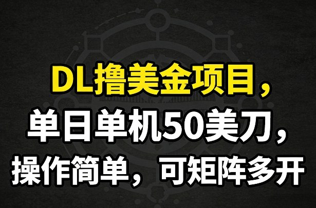 DL撸美金项目，单日单机50美刀，操作简单，可矩阵多开-heixma