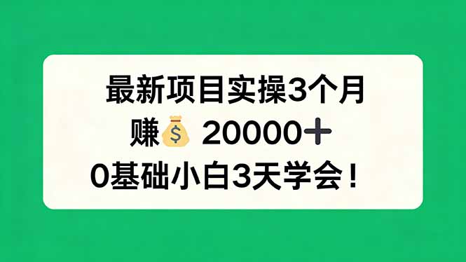 最新项目实操3个月，赚钱20000+，0基础小白3天学会！-heixma