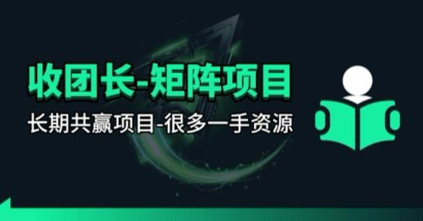 【团长合作】视频矩阵项目_招发手矩阵+剪辑师，共赢项目【揭秘】-heixma